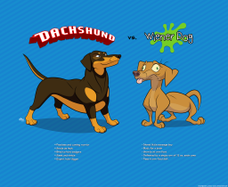 dachshund-vs-wiener-dog